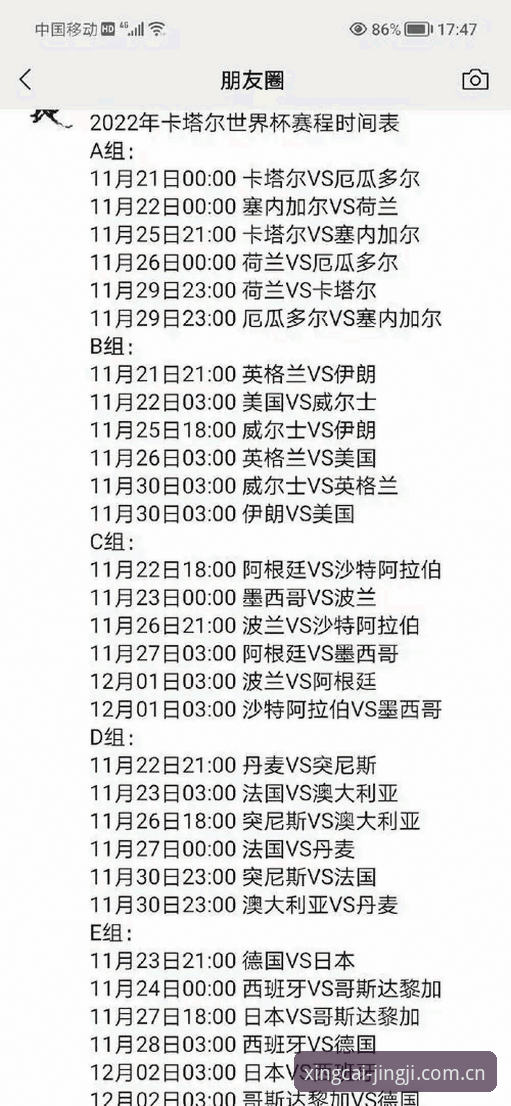 杏彩体育顶级赛事 世界杯观赛必备知识:从签证困局看如何畅享顶级赛事